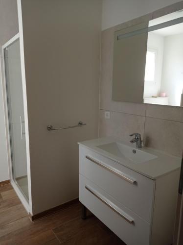 une salle de bain avec un lavabo et un miroir dans l'établissement LA MAISON DE PAPOU La Vigne A NANS LES PINS 83860, à Nans-les-Pins