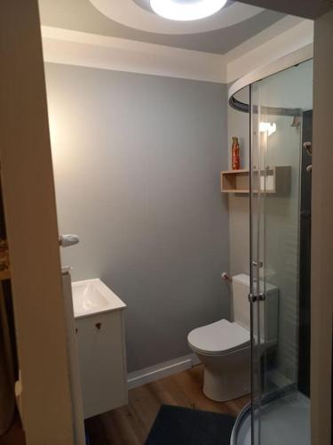 une salle de bain avec une douche, des toilettes et un lavabo dans l'établissement La Grelauderie 6, à Saintes