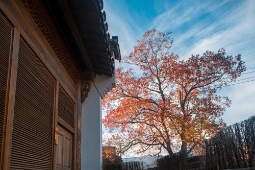 a tree with orange leaves in front of a building at Alina Garden Boutique Resort Huangshan Hongcun in Huangshan Scenic Area