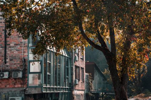 a brick building with a tree in front of it at Alina Garden Boutique Resort Huangshan Hongcun in Huangshan Scenic Area