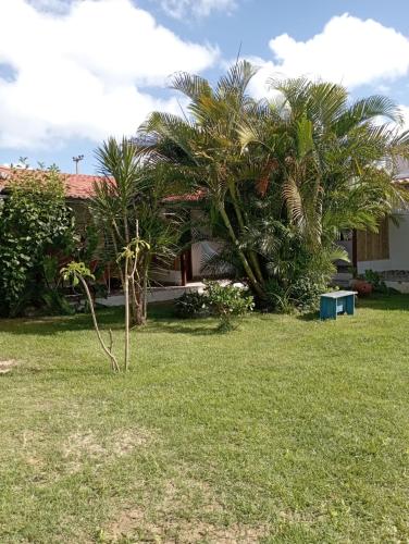 a house with palm trees in the yard at Pousada Casa Do Cocotier in São Miguel do Gostoso