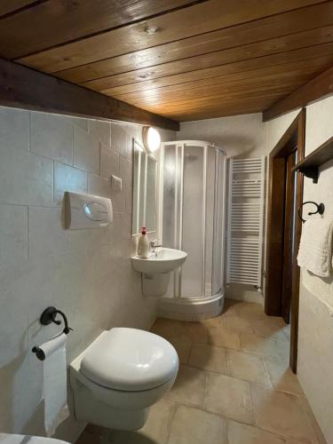 維科德加爾加諾的住宿－Rifugio Sfilzi - Foresta Umbra，浴室配有卫生间、盥洗盆和淋浴。