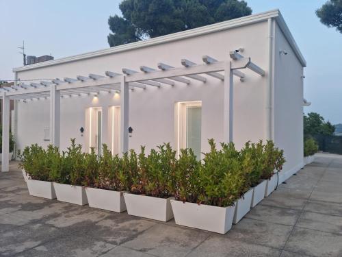 a greenhouse with plants in front of it at Lci Deluxe Rooms in San Cataldo