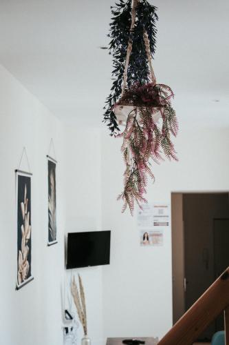 TV a/nebo společenská místnost v ubytování F3 Duplex lumineux Amazonia Hypercentre Lamartine 203