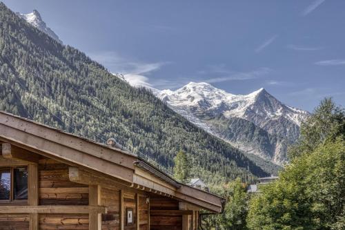 Panorama du Mont-Blanc- Spacious and ideally located 1 bedroom apartment