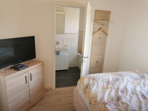 een woonkamer met een televisie en een slaapkamer bij Zimmer m. eigenem Bad und Badewanne direkt am Wald in Amöneburg