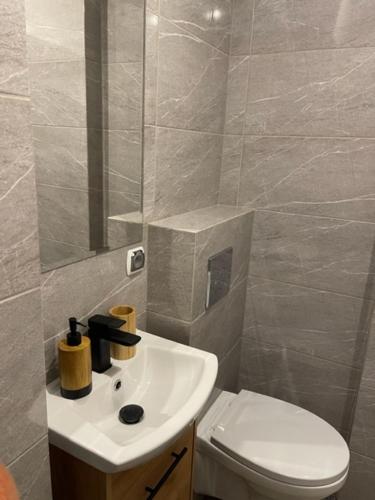 a bathroom with a white sink and a toilet at Apartament Centrum II in Lidzbark Warmiński