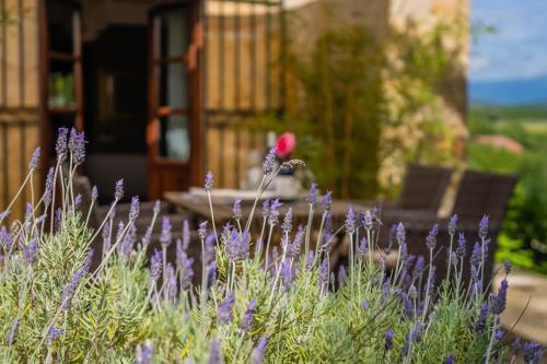 a bird sitting in a garden with purple flowers at Hotel Palacio De Luko in Luco