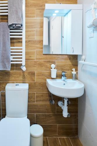 a bathroom with a toilet and a sink and a mirror at Cozy and Lovely Apartments I & II in Jagodina