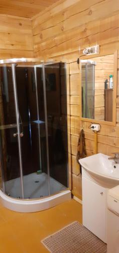 uma casa de banho com um chuveiro e um lavatório. em Vila Mera em Pabradė