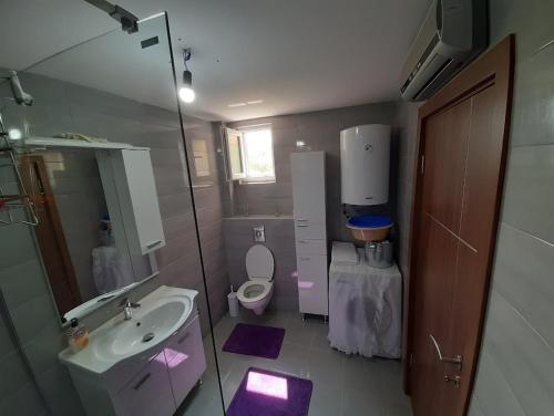 a bathroom with a sink and a toilet with purple mats at Jezerina in Šavnik