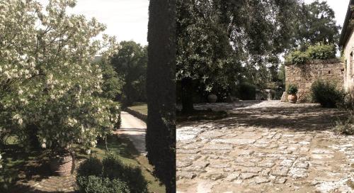 two pictures of a stone path with a tree at La Saracina in Pienza