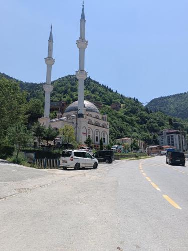 a white car parked on the side of a road with a mosque at Erdoğan Konut in Çaykara