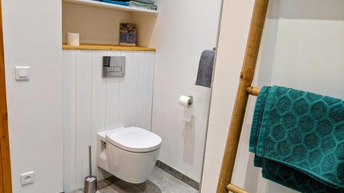a bathroom with a toilet and a green towel at Rez-de-jardin indépendant dans ferme maraichère bio avec grand jardin privatif clos et arboré in Crest