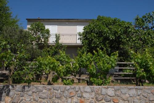 Apartments Nona