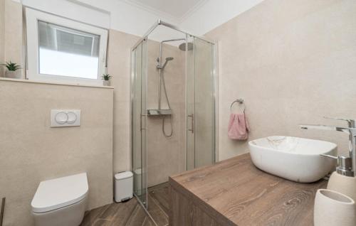 a bathroom with a shower and a sink and a toilet at Villa Strkalj Bibinje in Bibinje