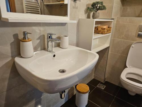een badkamer met een witte wastafel en een toilet bij Bright Side Apartment in Novi Sad