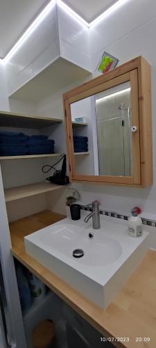 une salle de bain avec un lavabo et un miroir dans l'établissement Le VIP cabourg,200m de la plage et de la promenade Marcel Proust,600m du centre, agréable F2 en rez de jardin, à Cabourg