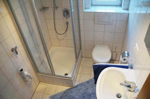 uma casa de banho com um chuveiro, um lavatório e um WC. em Landhaus Straßer em Hengnau