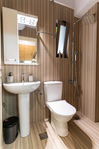 a bathroom with a toilet and a sink and a mirror at Lion's Cave suite No 1. in Kalamata