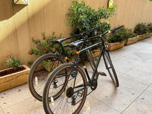 a bike parked on a sidewalk next to plants at Meir Dizengoff Residence with Shelter in Tel Aviv