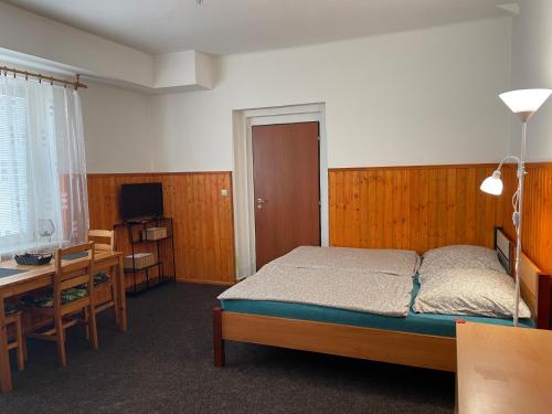 a bedroom with a bed and a desk and a computer at Garsoniera v roddiném domě in Dubice