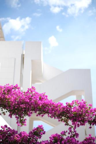 a bunch of purple flowers on a white building at Hotel Scialì in Vieste