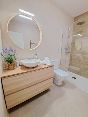 a bathroom with a sink and a mirror and a toilet at Villa Las Tres J in Málaga