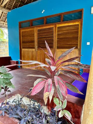 Gambar di galeri bagi Milele Lodge di Michamvi