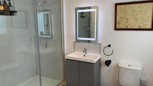 een badkamer met een wastafel, een douche en een toilet bij One bedroom lodge in the countryside in Congleton