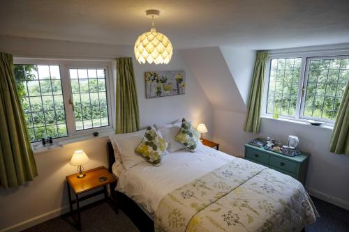 a bedroom with a bed and two windows at Southdown B&B in Clovelly