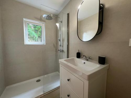 Maison Léon في Bilstain: حمام مع حوض ومرآة وحوض استحمام