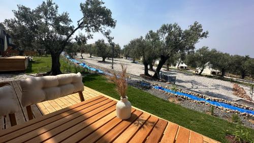 Bazén v ubytování ELIES TINY GLAMPING nebo v jeho okolí