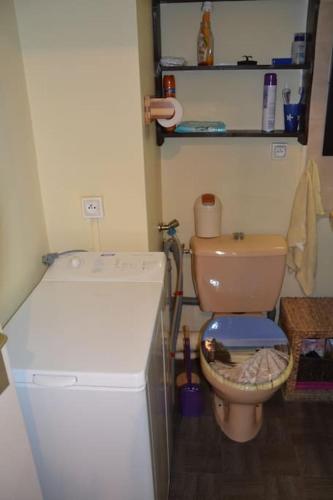 La petite salle de bains est pourvue de toilettes et d'un réfrigérateur. dans l'établissement Studio Les Sables d'Olonne, à Les Sables-dʼOlonne