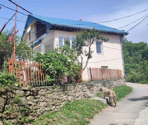 un perro caminando delante de una casa en Villa Morena, 