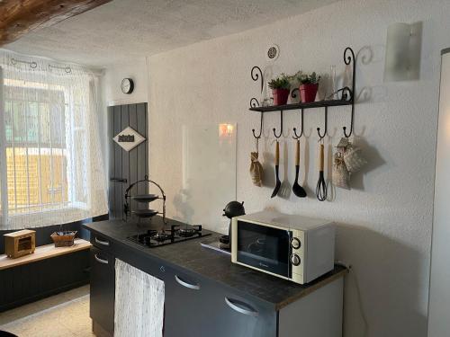a kitchen with a counter with a microwave on it at Maison de village 5 vacanciers chez Néné et Bibi in Roquemaure