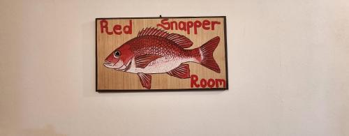 a picture of a fish hanging on a wall at Apartahotel & Gym Rondon in Tortuguero