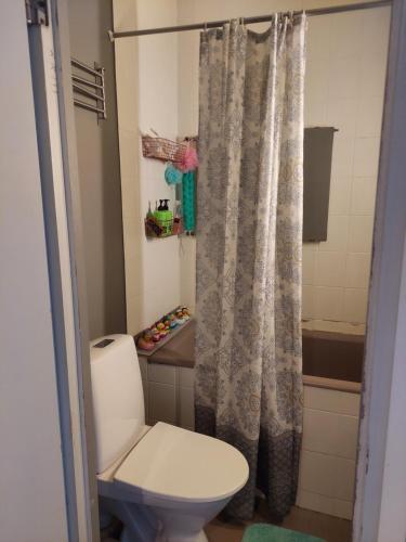 ロヴァニエミにあるAlice Apartment - main streetのバスルーム(トイレ、シャワーカーテン付)