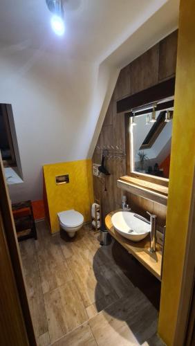 a bathroom with a toilet and a sink and a mirror at Miętowy Anioł in Ustrzyki Dolne