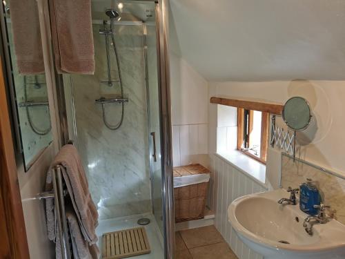 uma casa de banho com um chuveiro e um lavatório. em The Sanctuary at Boningale Manor em Wolverhampton