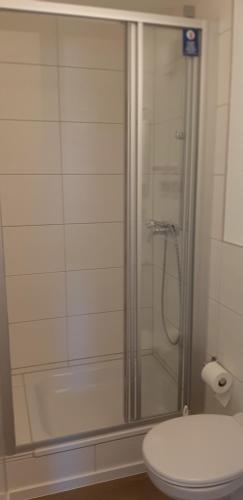 y baño con ducha de cristal y aseo. en Monteurzimmer-Apartment Scholl Pforzheim en Pforzheim