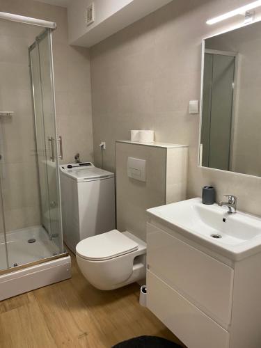 uma casa de banho com um WC, um lavatório e um chuveiro em Apartments Rising Sun, Ražanac em Ražanac