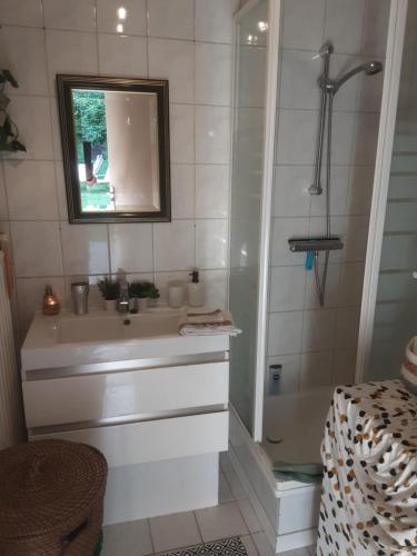 a bathroom with a sink and a shower and a mirror at Villa commune PoldersView in Sluis