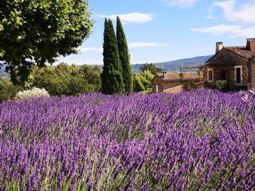 Κήπος έξω από το Les Vendangeurs, gîte au milieu des vignes face au Luberon