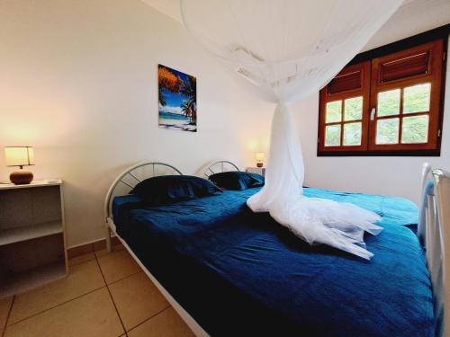 a bedroom with two beds with blue sheets and a window at La Villa Césaire au cœur de la nature luxuriante ! in Vieux-Habitants