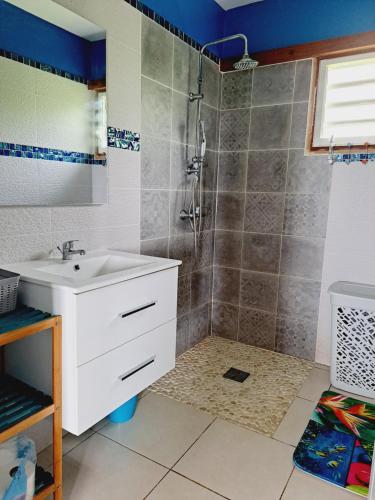 a bathroom with a sink and a shower at La Villa Césaire au cœur de la nature luxuriante ! in Vieux-Habitants