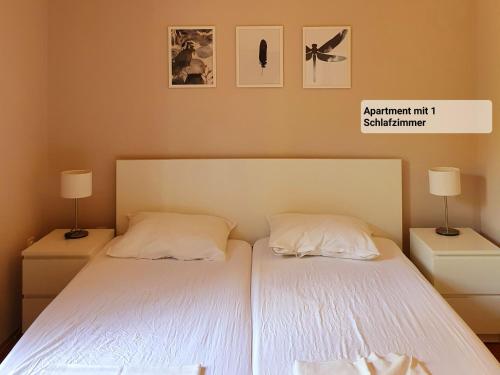 Apartment Toška