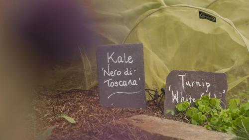 a garden with two signs in a greenhouse at Grays Court Hotel in York