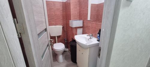 a small bathroom with a toilet and a sink at ILONA APARTAMENT 3 camere in Râmnicu Vâlcea