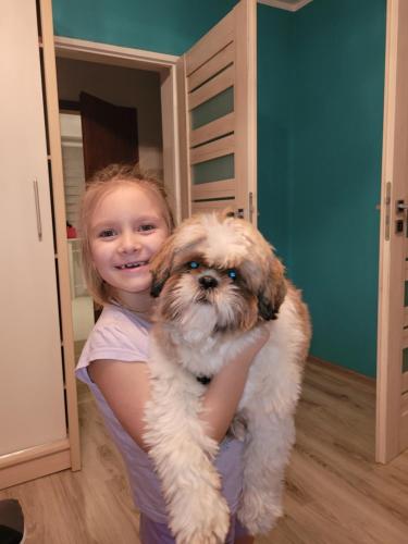 a little girl is holding a small brown and white dog at Domek Drewniany w Dolinie Symsarny in Lidzbark Warmiński
